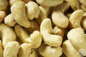 Cashew Nuts Drum Roasted