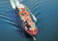 Shipping Rates From Chiwan Yantian Shenzhen To Miami / Houston, 27days