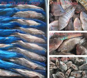 Offer Gs, Wr Tilapia And Tilapia Steak