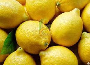 Fresh Adalia Lemon