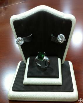 High Quality And Fuctional Jewelry Display Stand For Earring, Ring In 2013