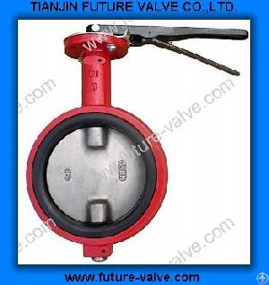 No Ear Wafter Type Butterfly Valve With Two Stems