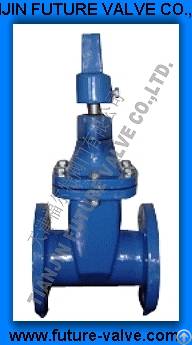 Non-rising Stem Resilient Seated Gate Valves To Ansi 125 / 150