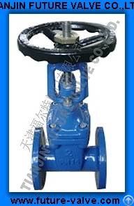 Rising Stem Resilient Seated Gate Valves To Bs5163