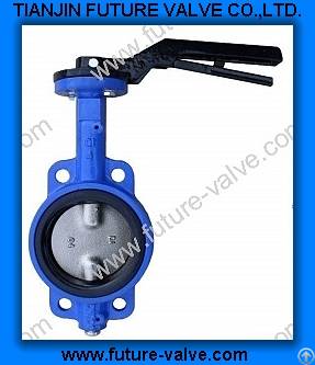 Wafter Type Butterfly Valve With Two Stems