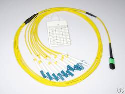 Lc-mpo Fiber Optic Patch Cord