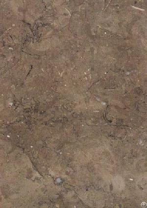 Mil Brown Egyptian Marble