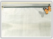 Stainless Steel Wire Mesh