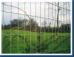 Euro Fence