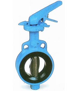 Butterfly Valve Manufacturer, Wafer Type Center Disc Rubber Lined Butterfly Valve Manufacturer