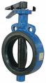 Rubber Lined / Rubber Sleeved Butterfly Valve Manufactuer Gujarat India, Valve Supplier And Stockist