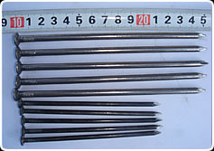 Common Iron Nail