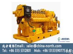 1000kw 3000kw power gas generator