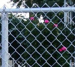 Pvc Coated Chain Link Fence