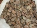 Benin Raw Cashewnuts In Shell Raw Material