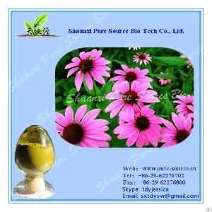 echinacea extract