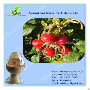 rose hip extract