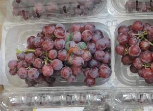 Egyptian Fresh Grapes