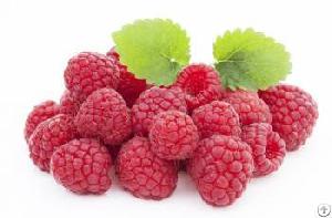 Palmleaf Raspberry Fruit Extract