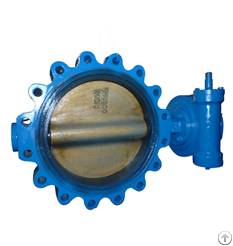 Double Eccentric Lined Type Butterfly Valve