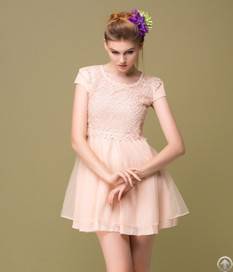 Elegant Style Lace Front Dress Light Pink