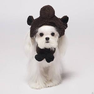 Lovely Pet Hat And Bow Tie