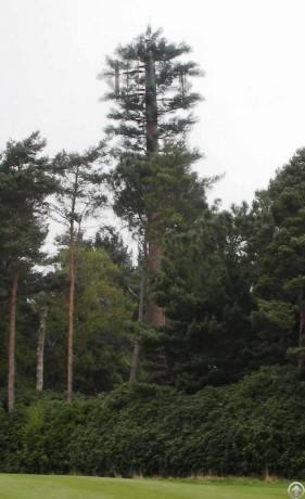 concealment towers