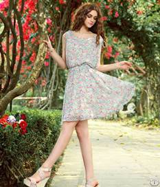 Summer Flower Printed Round Collar Chiffon Dresses Rose Blue Yellow