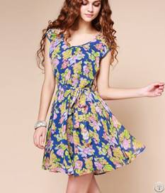 Elegant Flower Printed Short Sleeve Chiffon Dresses Blue Pink