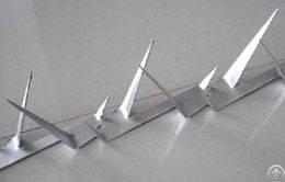 Wall Spike, Anti Climb Spikes, Security Spike For Sale