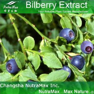 Bilberry Extract 25% Anthocyanidins