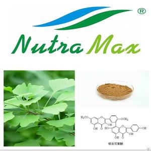 Ginkgo Biloba Extract