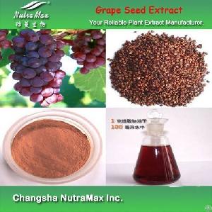 Grape Seed Extract