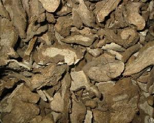 oriental stephania root extract
