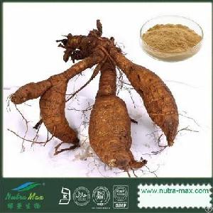 Pueraria Kudzu Root Extract 40% Isoflavnis