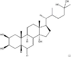 Radix Rhapontici Extract