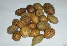 Terminalia Fruit Extract