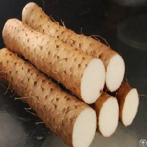 Wild Yam Extract