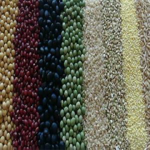 Organic Agricultural Grain