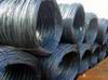 Supply Carbon Steel Wires