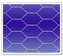 Sell Hexagonal Wire Mesh, Poultry Netting