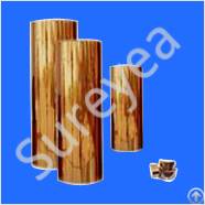 kapton film