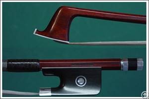 strings cauda equina
