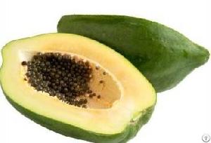 green papaya powder extract concentrate freeze dried fruit capsules tablets
