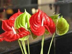 Artificial Flower Pu Anthurium