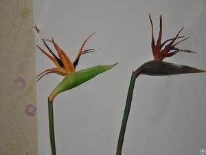 artificial flowers pu bird paradise