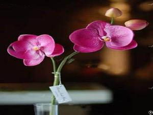 Artificial Flowers Pu Phalaenopsis