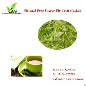 green tea extract polyphenol 95