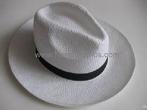 paper panama hat straw