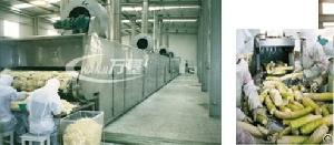 Dwt Series Dryer For Vegetable Dehydration